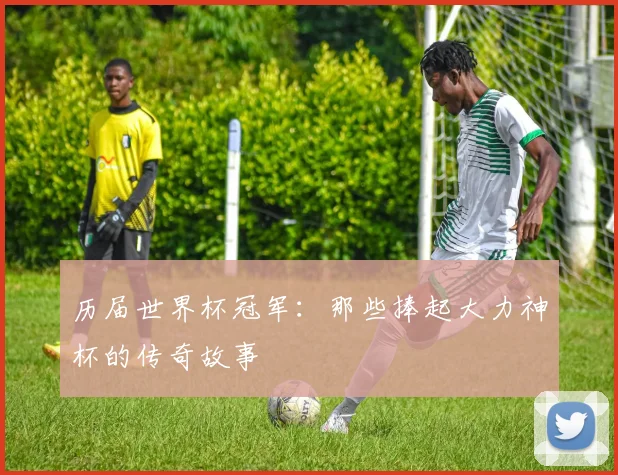 历届世界杯冠军:那些捧起大力神杯的传奇故事