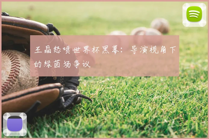 王晶怒喷世界杯黑幕:导演视角下的绿茵场争议