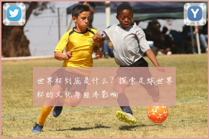 世界杯到底是什么？探索足球世界杯的文化与经济影响
