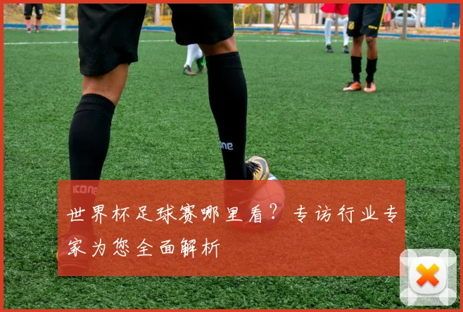 世界杯足球赛哪里看？专访行业专家为您全面解析