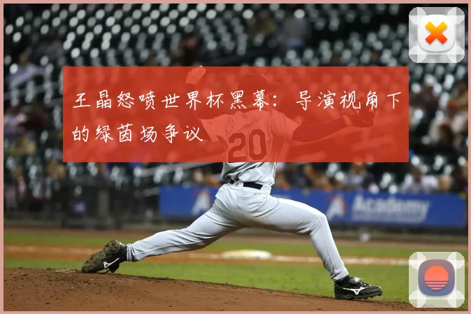 王晶怒喷世界杯黑幕:导演视角下的绿茵场争议