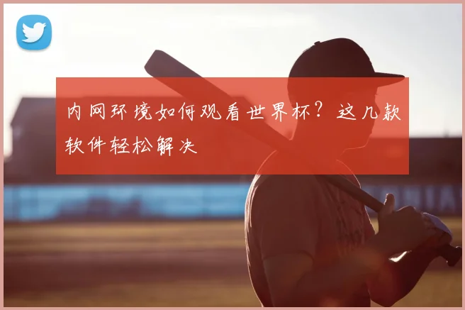 内网环境如何观看世界杯？这几款软件轻松解决